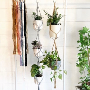 May include: Three macrame plant hangers with white ceramic pots and green plants. The hangers are hanging from a white ceiling.