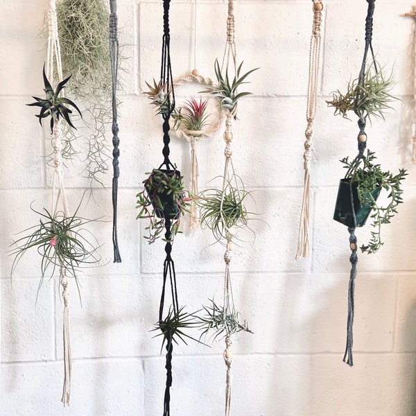 Macrame airplant holder / 27colors /Boho Plant Hanger / Wall hanging planter /Air Plant Hanger / Mini plant hanger /