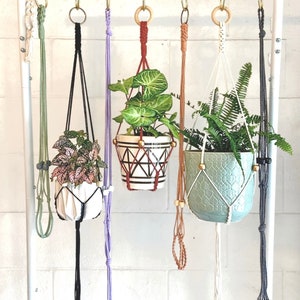 Puede incluir: Cinco maceteros de macramé con cordones y cuentas de diferentes colores. Cada macetero sostiene una planta en maceta. Las plantas son de diferentes tonos de verde y blanco.