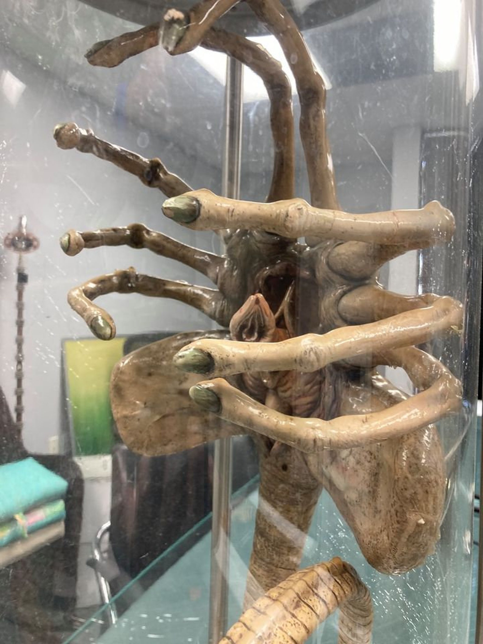 Original Iconic SFX Facehugger Giger Prop Used in the 1979 Etsy