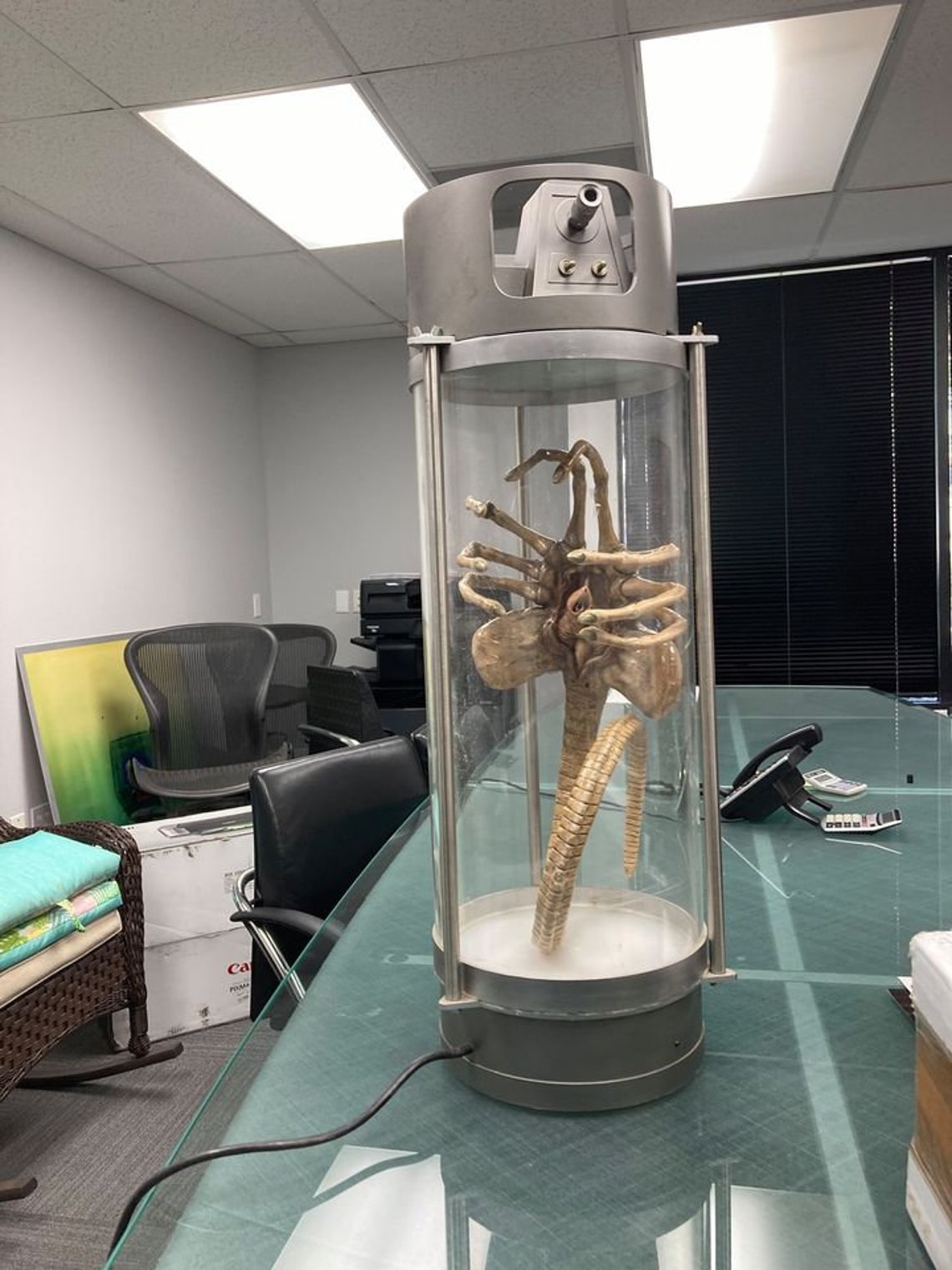 Original Iconic SFX Facehugger Giger Prop Used in the 1979 Etsy