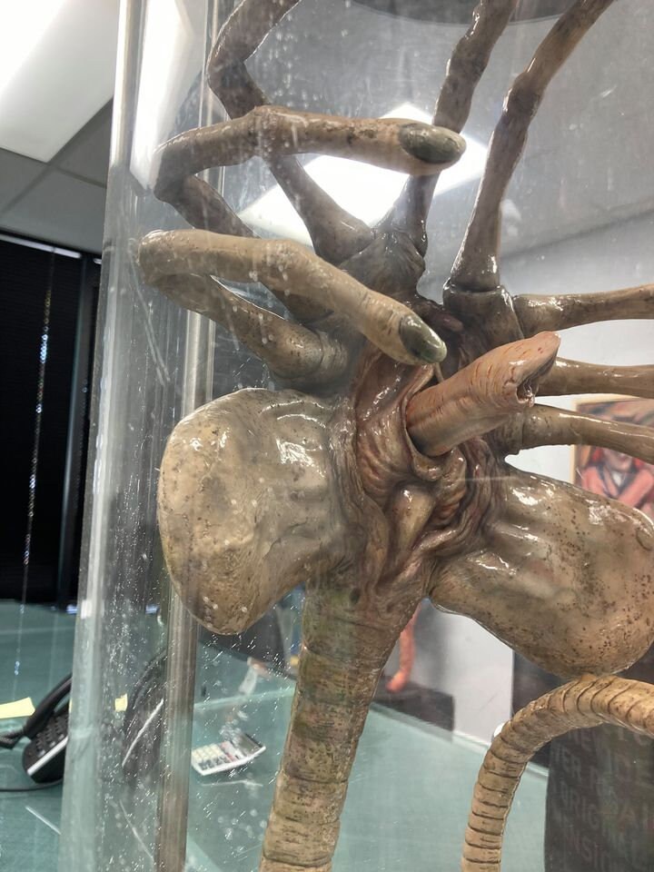 Original Iconic SFX Facehugger Giger Prop Used in the 1979 Etsy