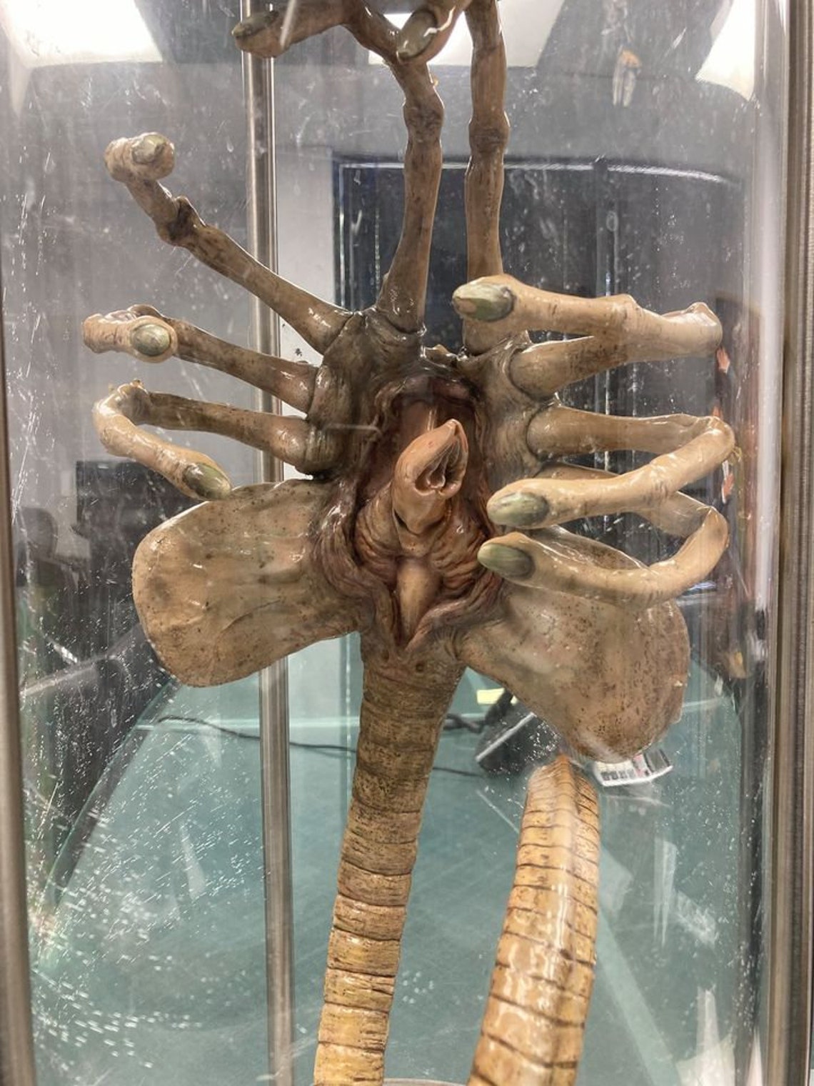 Original Iconic SFX Facehugger Giger Prop Used in the 1979 Etsy