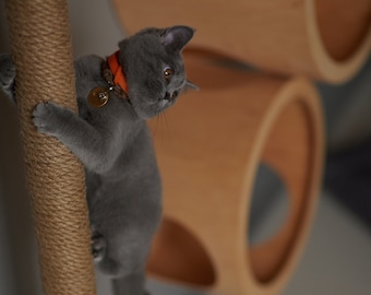 CATS SCRATCHER, Modern Cat Furniture, Gift for Cat Lover, Cat Gift, Cat Shelf, Cat wall Tree, Modern Wall