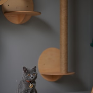 CATS SCRATCHER, Modern Cat Furniture, Gift for Cat Lover, Cat Gift, Cat Shelf, Cat wall Tree, Modern Wall