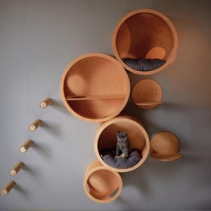 SET of 11 ITEMS for CATS