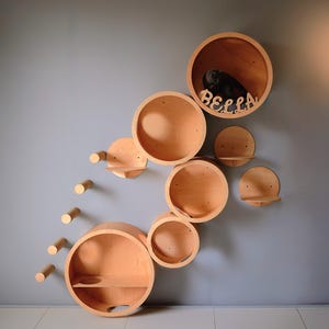 SET of 13 ITEMS for CATS