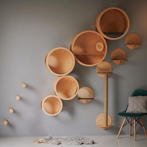 SET of 13 ITEMS for CATS