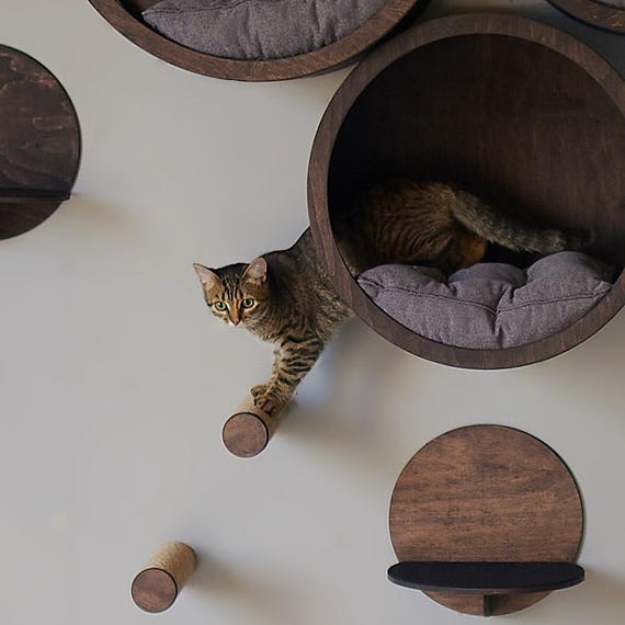 JISADER Katzenwand Stufe - Kratzbaum Zur Wandmontage Ohne Bohren