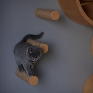 CAT STEPS (with jute)