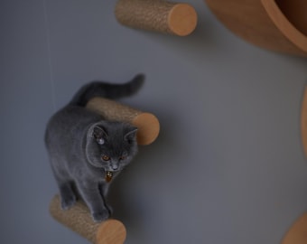 CAT STEPS (with jute)