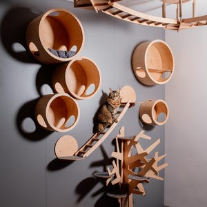 Può includere: Un sistema di arrampicata per gatti personalizzato in legno chiaro. Il sistema comprende letti circolari, una scala, una struttura a forma di albero e un ponte. Un gatto è sulla scala. Le strutture sono montate su una parete grigia.