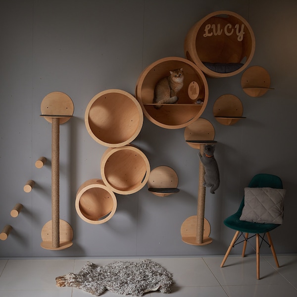 Nowoczesny zestaw domków dla kotów ze sklejki brzozowej, meble do montażu na ścianie