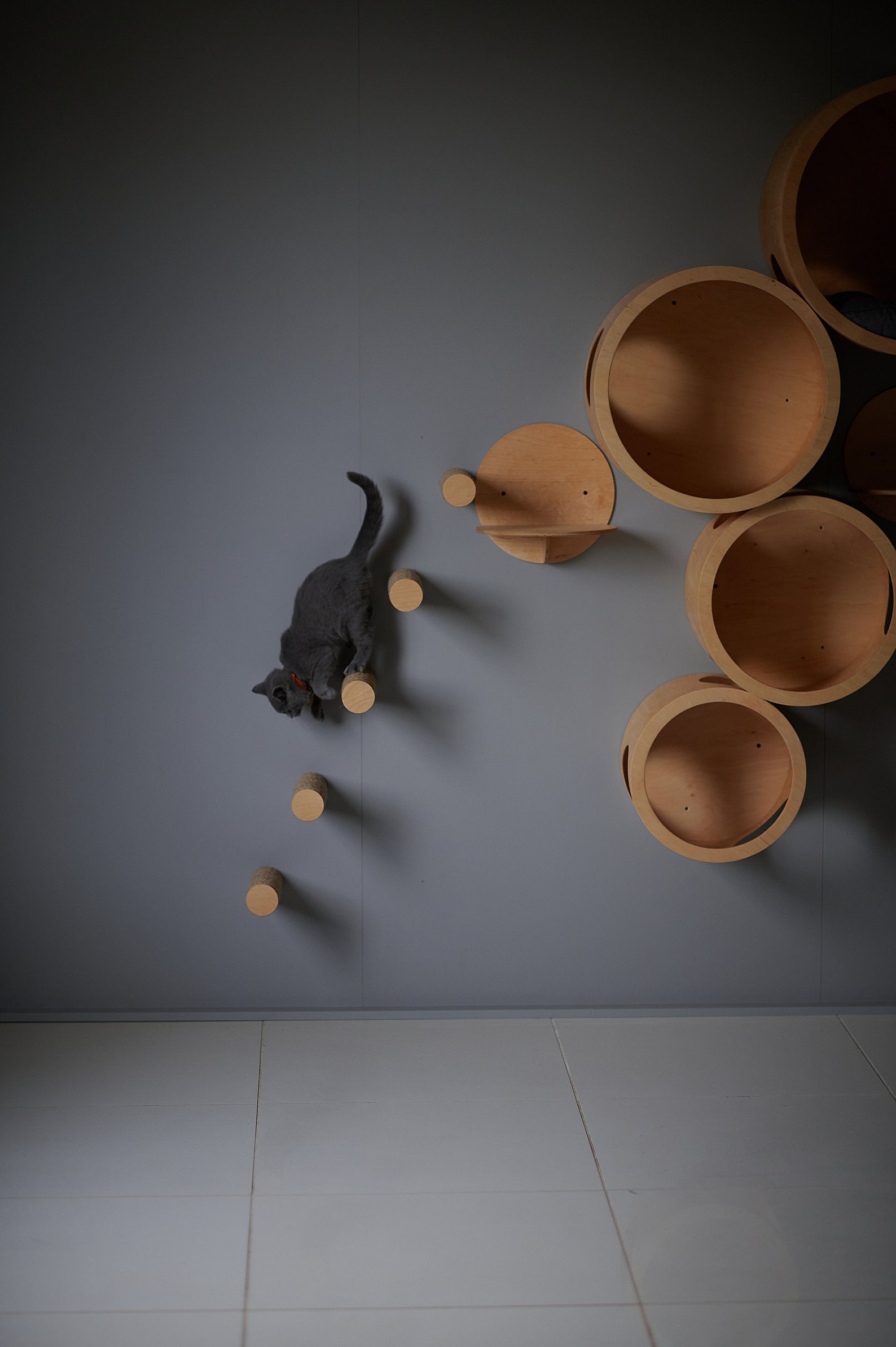 CAT STEPS, Cat Furniture, Cat Shelf, Cat Tree, Cat Gym, Cat Shelf Etsy