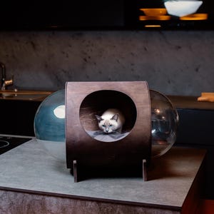 Modern Wooden Cat House with Acrylic Panoramic Spheres – A Stylish Retreat for Your Feline Friend