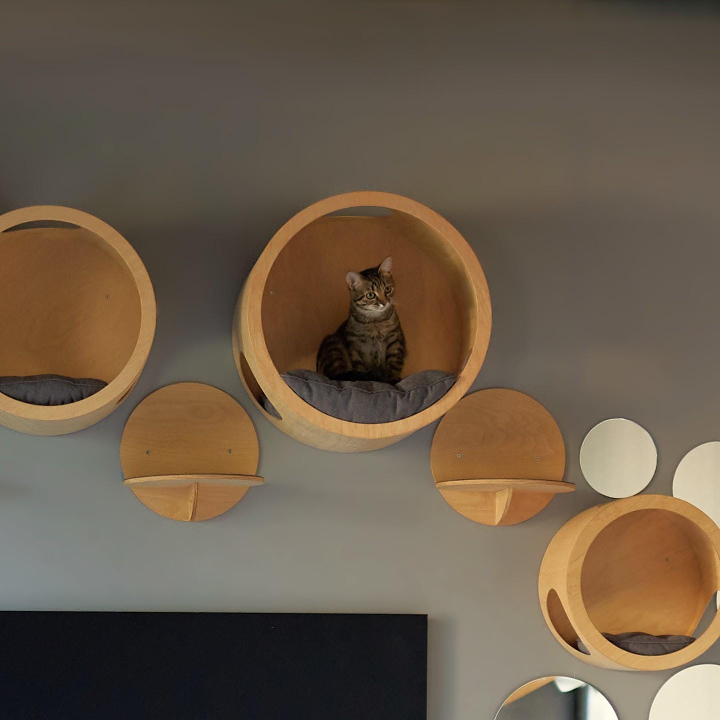 Handmade Cat Steps: Wall Mounted Birch Wood, Non-slip Pads - Etsy