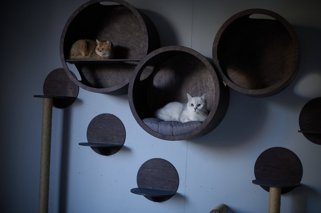 Modern Cat House Set, Wall Mounted Cat Furniture - Etsy