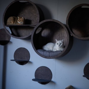 SET HOUSES for cats, Modern Cat Furniture, Cat House, Cat Shelf