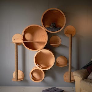 SET of 8 ITEMS for CATS