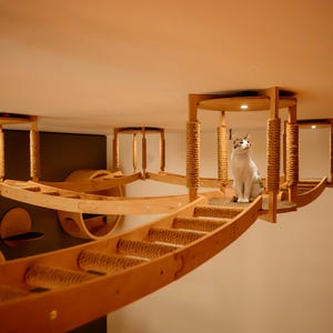 Wood Cat House Ceiling Playground, Bridge Climber Set