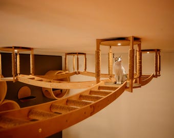 aire de jeux plafonnier chat, meubles en bois pour chat, lot de 4 maisons et 4 ponts