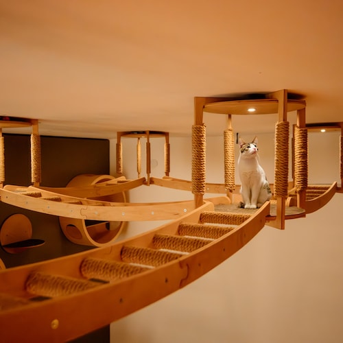 Casa de madera para gatos con techo, parque infantil y juego de trepador de puentes