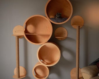 SET of 7 ITEMS for CATS