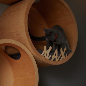 SET HOUSES for CATS, Modern Cat Furniture, Gift for Cat Lover, Cat Gift, Cat House, Cat Shelf, Cat wall Tree, Modern Wall