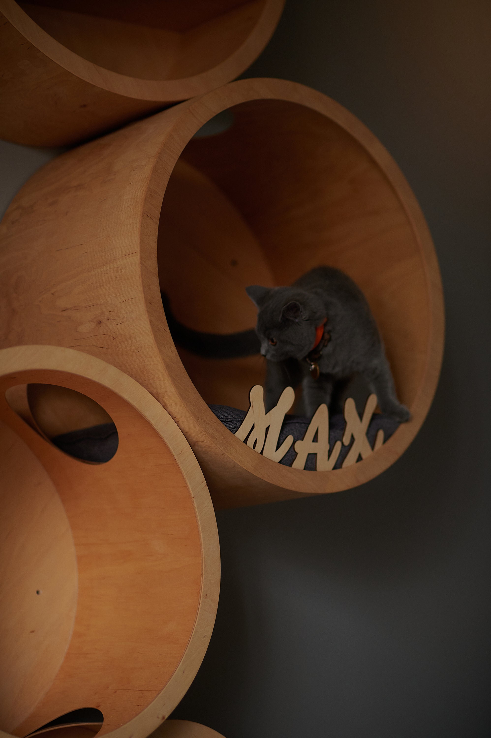 Modern Birch Plywood Cat House Set, Wall Mounted Furniture