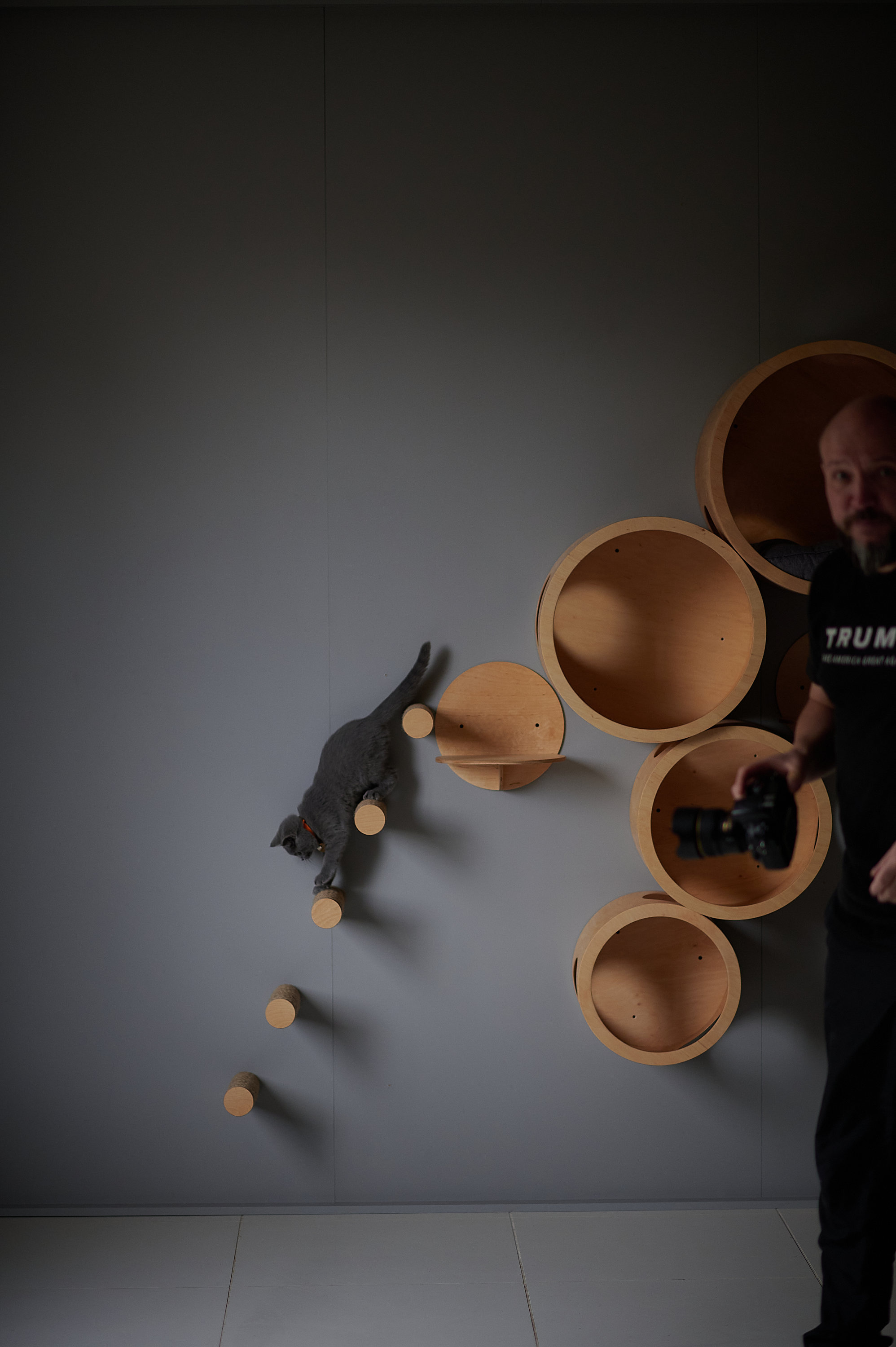 CAT STEPS Cat Furniture Cat Shelf Cat Tree Cat Gym Cat Etsy