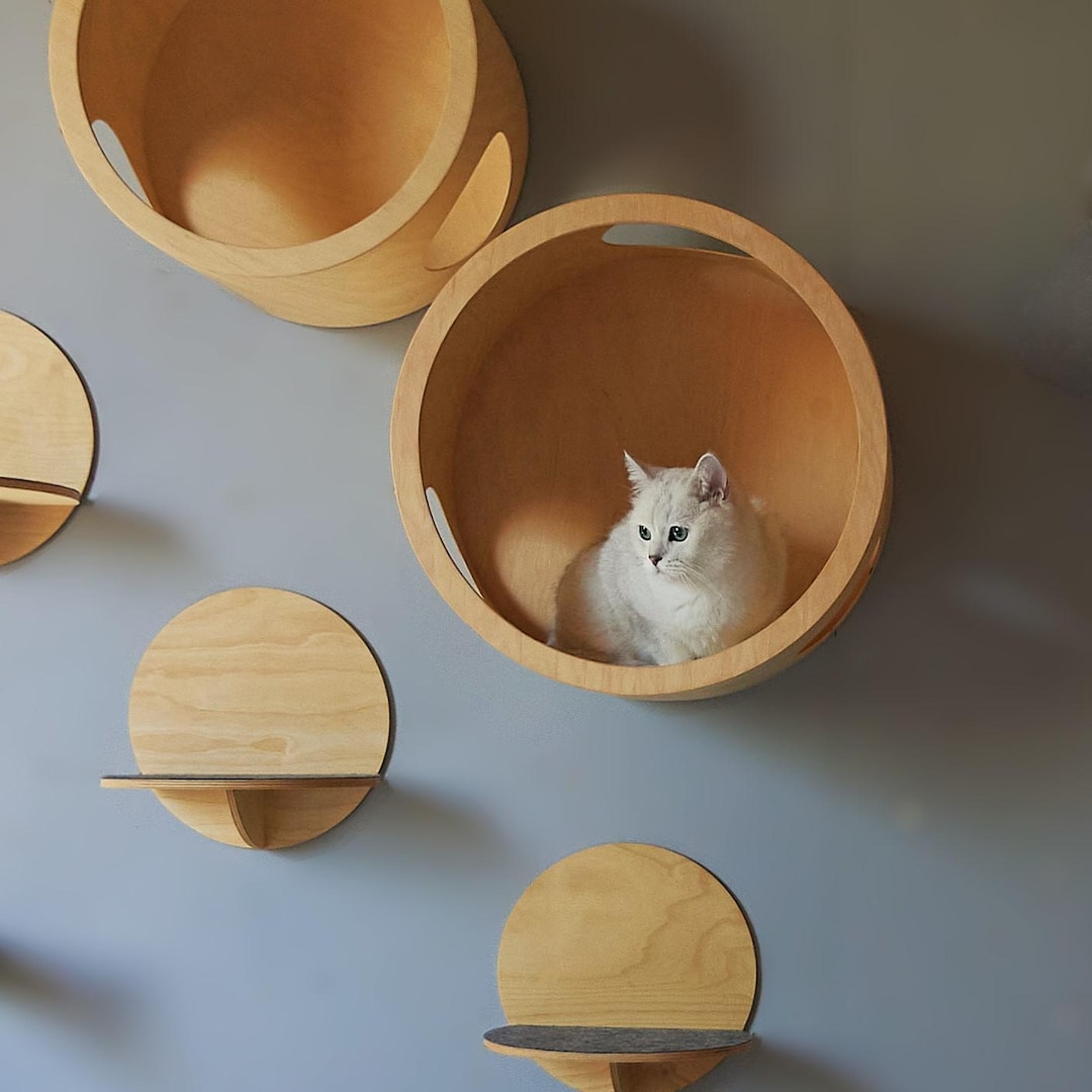 Handmade Cat Steps, Wall Mounted, Birch Plywood - Etsy