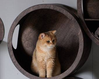 May include: A golden tabby cat sits inside a dark brown wooden cat bed. The cat bed is round and has a small handle on the side. The cat bed is part of a set of three cat beds.