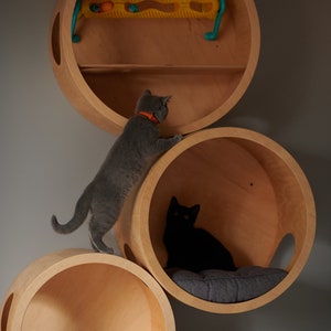 SET HÄUSE für KATZEN, Spielhaus für Katze, Moderne Katzenmöbel, Geschenk für Katzenliebhaber, Großes Katzenbett, Katzenregal, Katzenwandbaum, Moderne Wand Bild 8