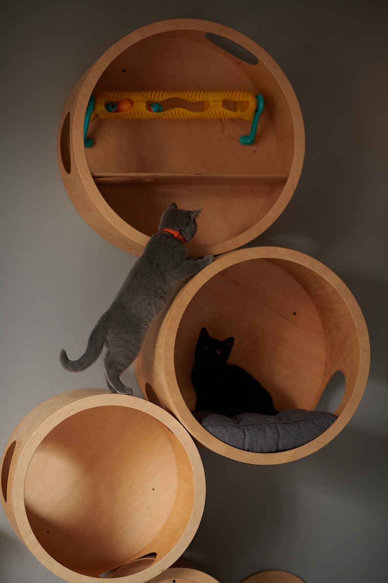 SET HÄUSE für KATZEN, Spielhaus für Katze, Moderne Katzenmöbel, Geschenk für Katzenliebhaber, Großes Katzenbett, Katzenregal, Katzenwandbaum, Moderne Wand Bild 8