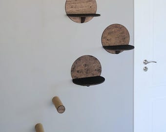 CAT STEPS (Classic)
