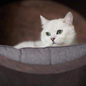SET HOUSES for CATS, Modern Cat Furniture, Gift for Cat Lover, Cat Gift, Cat House, Cat Shelf, Cat wall Tree, Modern Wall
