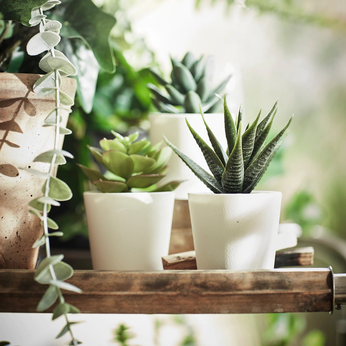 Aesthetic Artificial Succulents Plants in White Pot Add Etsy