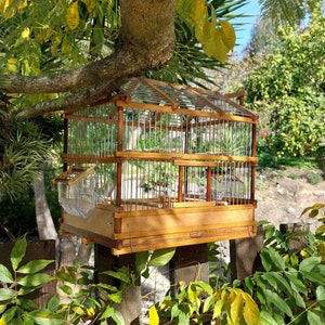 Rustic Bird Cage / Handmade Cage / Canary Cage / Bird House / Silvestrism Cage