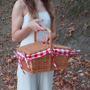 Wicker Picnic Basket / Picnic Basket with Lid / Camping Basket / Outdoor Basket / Farmhouse Basket / Boho Picnic Basket / Girlfriend Gift