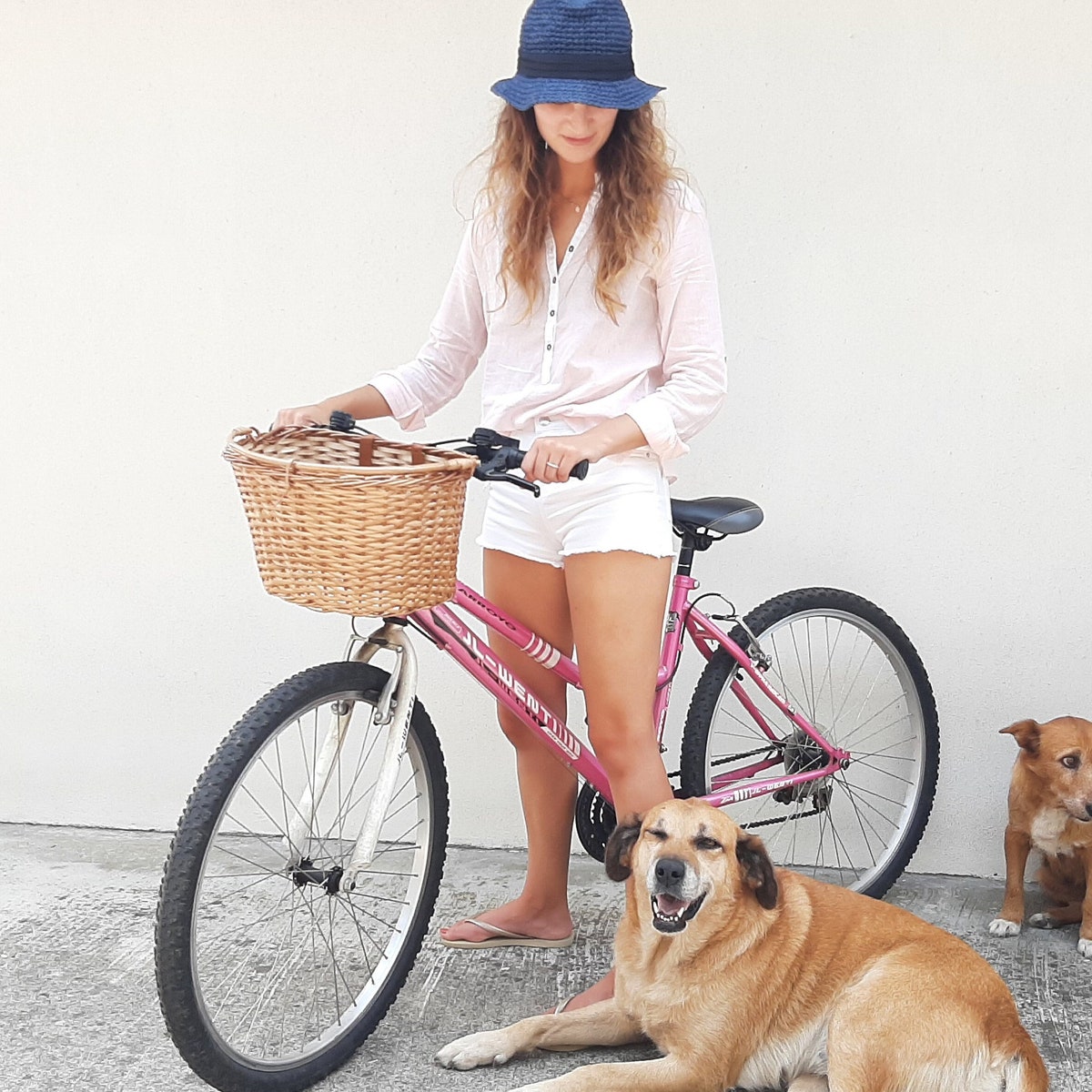 Wicker Bike Basket