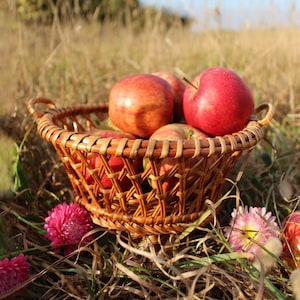 Fruit Basket / Round Basket / Fruit Bowl / Wicker Basket / Handmade Basket / Kitchen Decor / Basket Storage / Handmade Art / Vintage Baskets