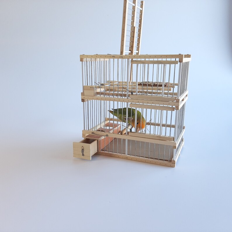 Wooden Bird Cage With One Trap / Trap Birds / Hunting Birds Etsy