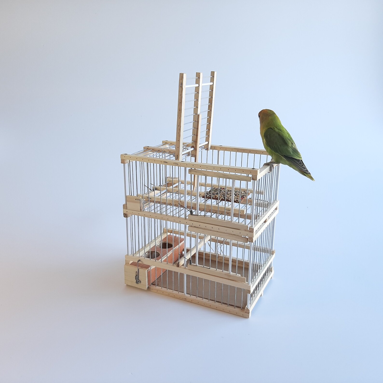 Wooden Bird Cage With One Trap / Trap Birds / Hunting Birds Etsy