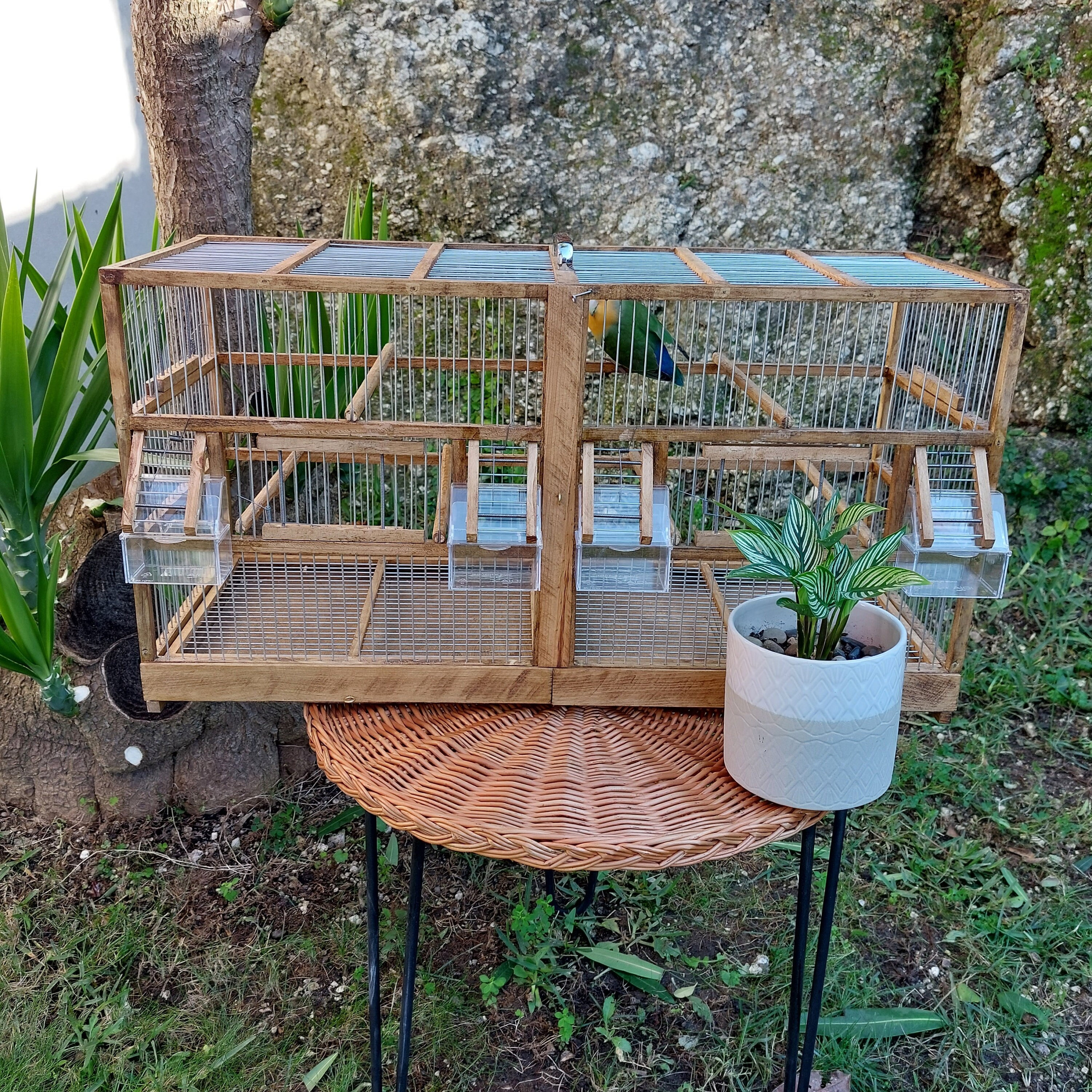 ブランド: birdcage オウムの鳥かご長方形の鳥かご手作りの鳥かごカナリア 長方形の素朴な鳥かご / 手作りの鳥かご / ヴィンテージ風の鳥かご