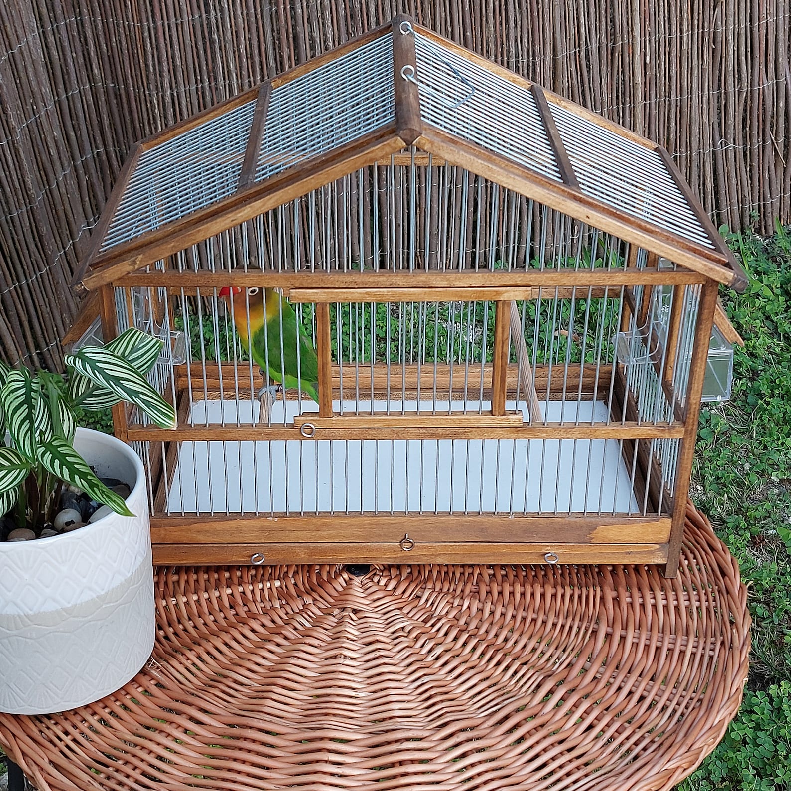 Rustic Bird Cage Full Handmade / Canary Cage / Bird House / Etsy