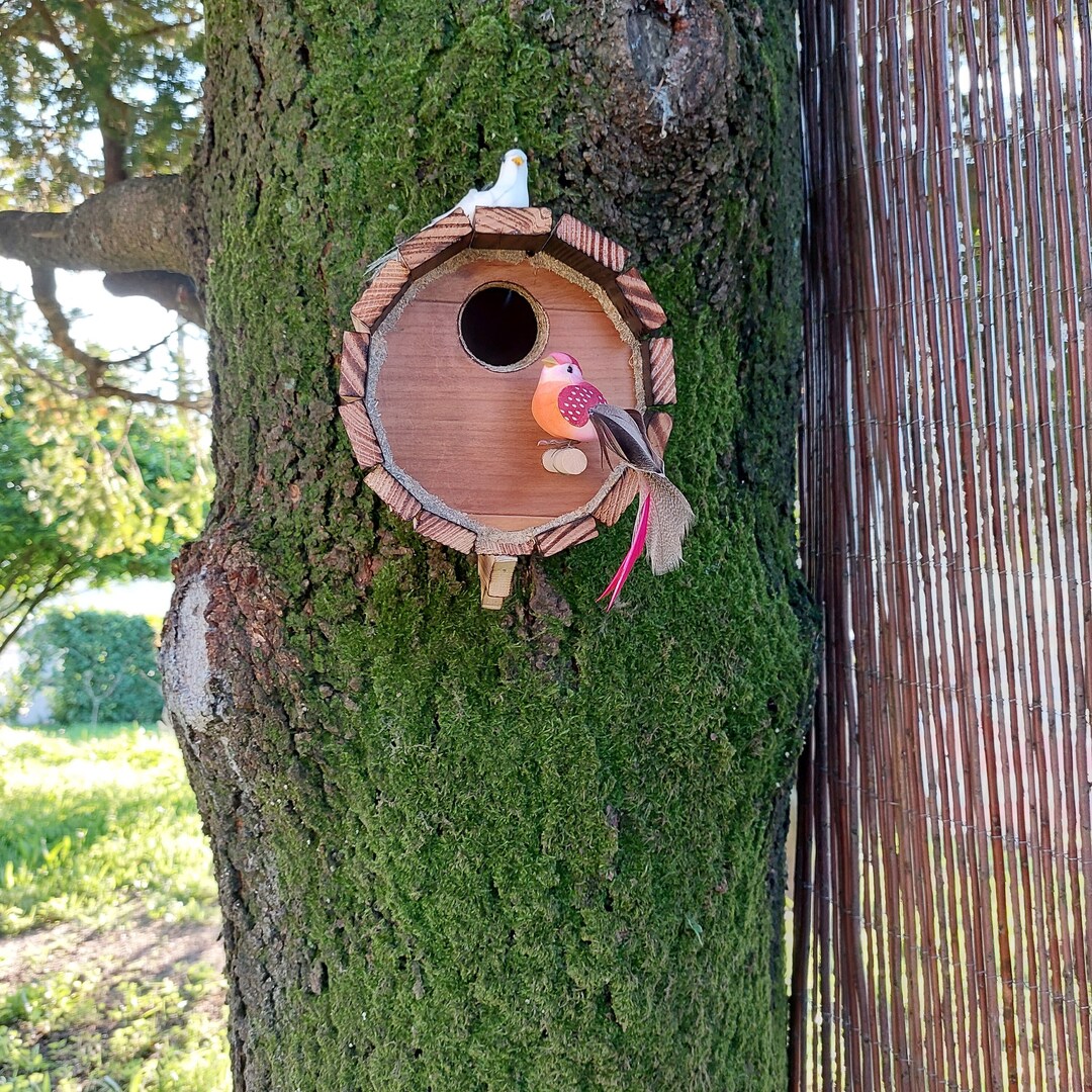 Wood Bird Nest / Bird Nest Home / Bird Nest / Garden Birds / Etsy