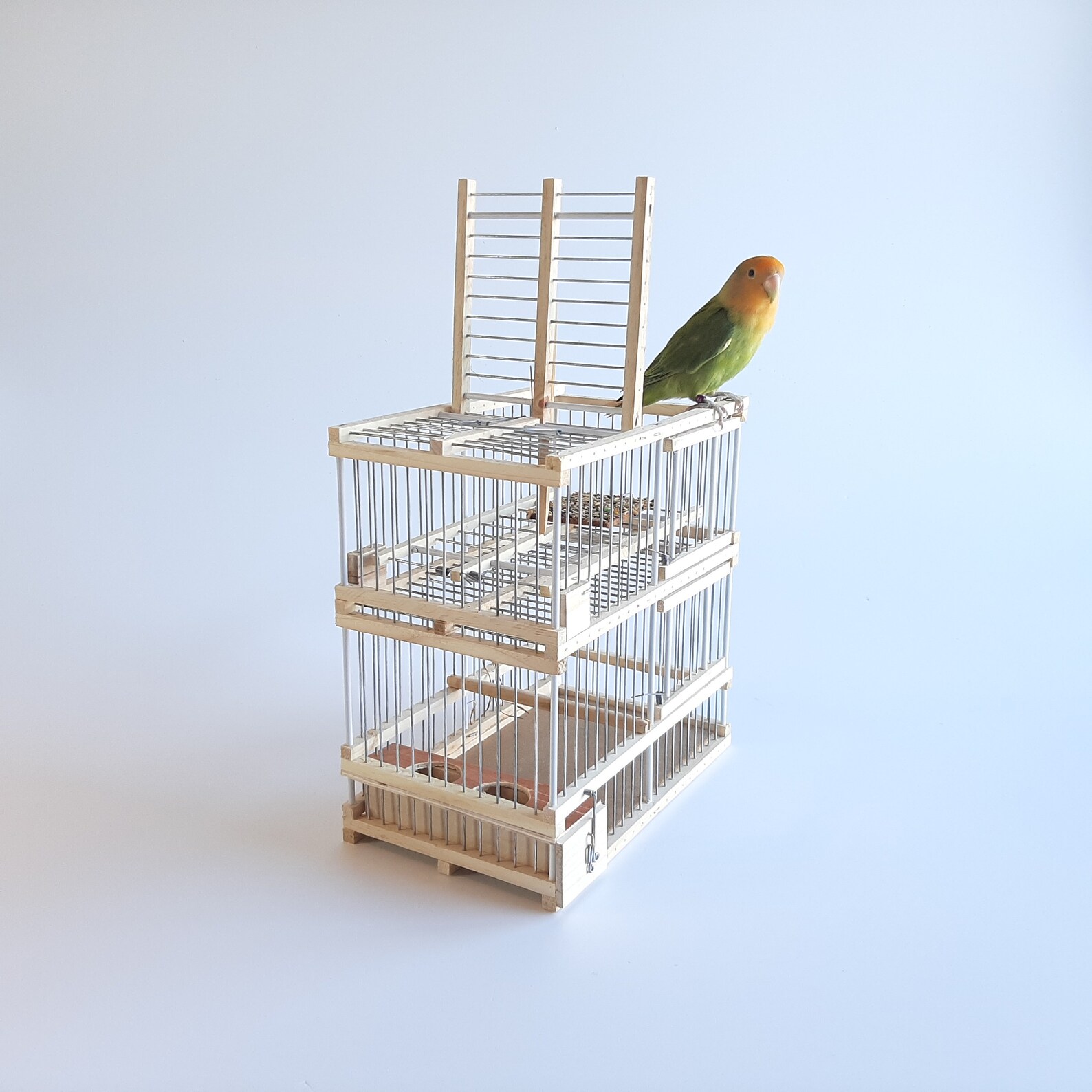 Wooden Bird Cage With One Trap / Trap Birds / Hunting Birds Etsy UK