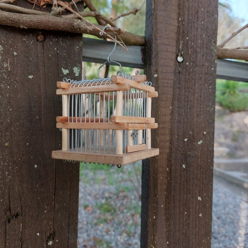 Pu&ograve; includere: Una piccola gabbia per uccelli in legno con una rete metallica all'interno &egrave; appesa a una recinzione in legno. La gabbia &egrave; in legno marrone chiaro e ha un design semplice.
