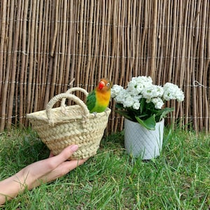 Mini Blumen Korb / Stroh Korb Blumenmädchen Korb / Korb Tasche / Sommer Tasche / Hochzeit Blumenkorb / Blumenampel / Küchen Deko