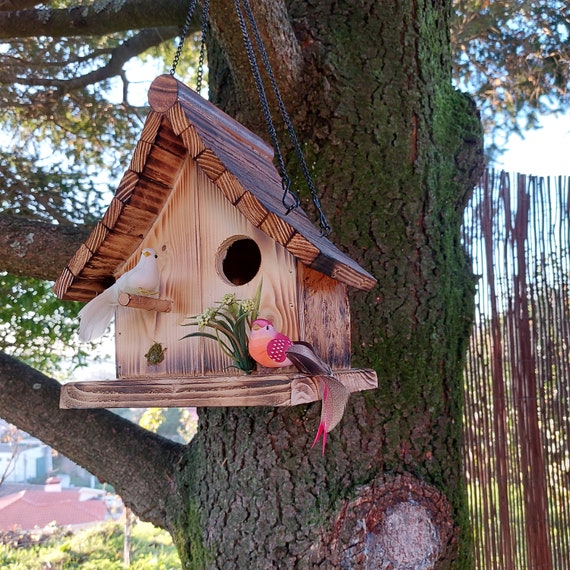 Belle maison des oiseaux / Oiseaux damour / Nid de bois / Maison